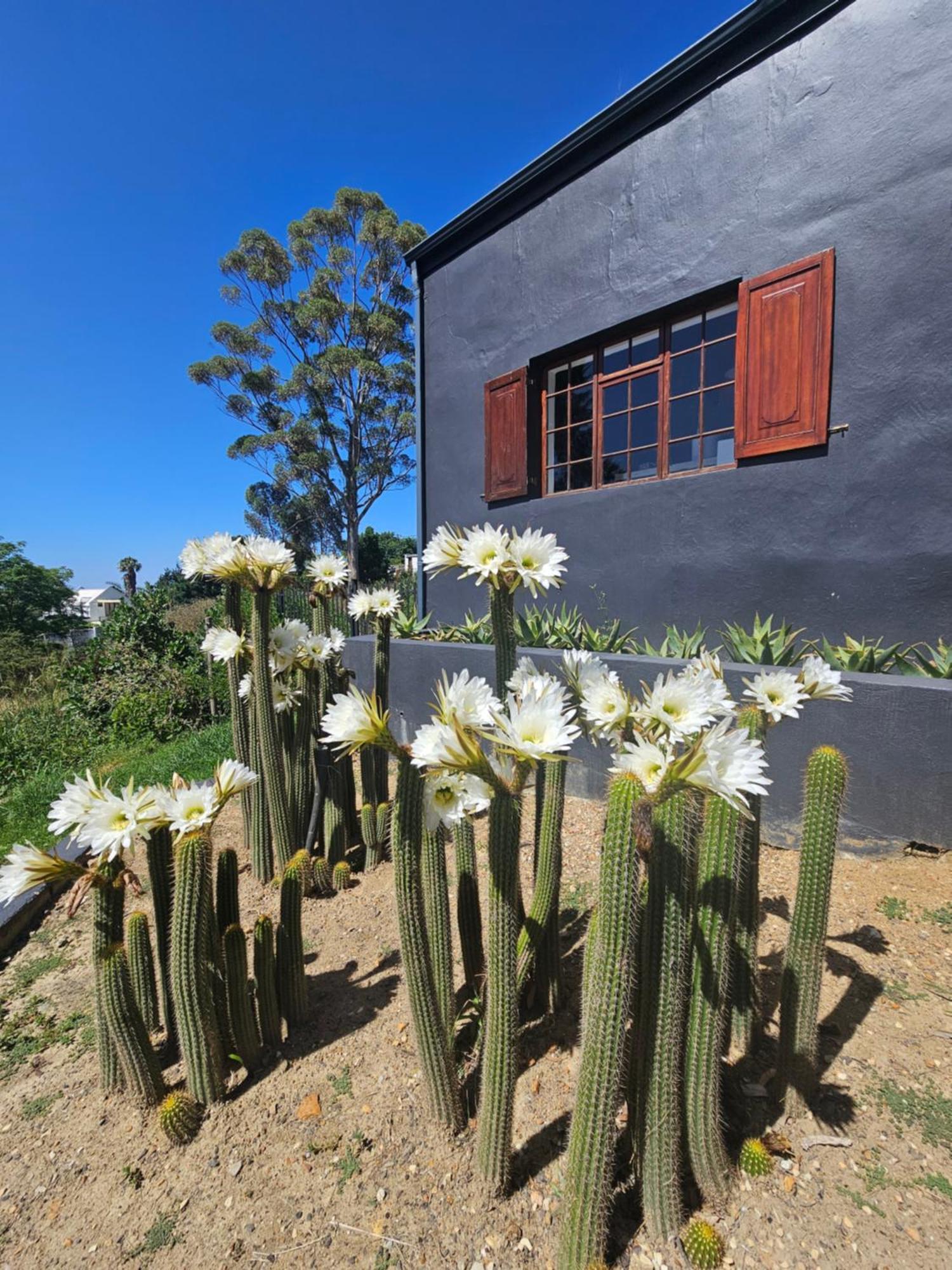 The Retreat Swellendam Villa ภายนอก รูปภาพ